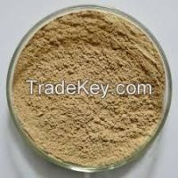 High  quality Green coffee bean extract powder