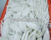 High  quality  frozen  squid tube