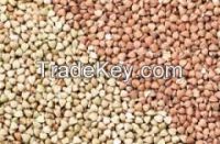 high  quality  roasted buckwheat kerenl