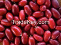 high  quality  miracle berries extract