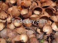 high quality  Coconut Shell