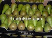 High  quality  fresh pears