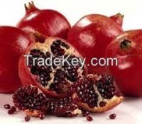High  quality  pomegranate 