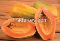 High  quality  Fresh Papaya 