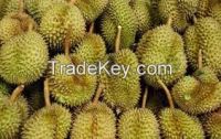High  quality  fresh durians