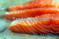 High  quality fresh frozen fish salmon 