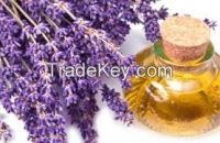 High  Quality  Lavender Oil