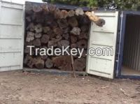 High  quality   African Blackwood, Ebony Mozambique Timber Logs