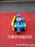 Water treatment roots blower
