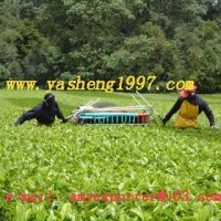 1000mm two man tea harvester, China manufacturer, vendor of Unilever