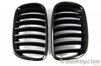 BMW carbon grille