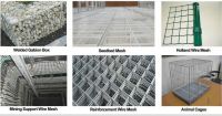 Wire Mesh, Galvanized Wire and Black Annealed Wire Factory 9 years' experience