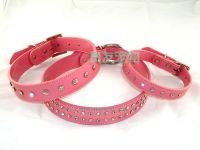 pet collar