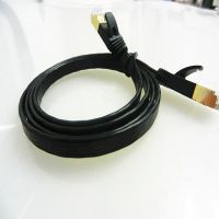 amp network cable