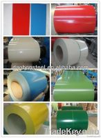 prepainted galvanized steel sheet PPGI