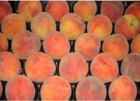 we offer  Peach