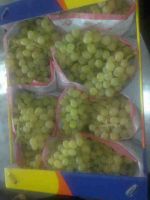 we offer grapes