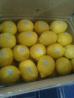 we offer Fresh lemon