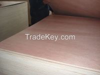 323 okoume and bintangor plywood sheet