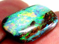 OPALIZED WOOD BOULDER OPAL