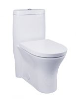 New Design One Piece Toilet, Siphonic S-Trap Toilet (HMA061S)with brand"American Standard"