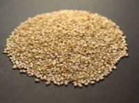 humera Sesame seeds