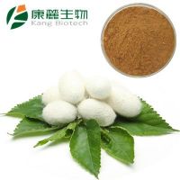 Silkworm Pupa Powder