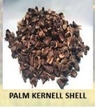 Palm kernell shell