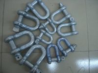 G210 D Type Shackle