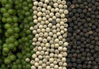 high quality black pepper 