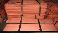 Copper Cathodes, 