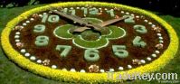 garden clock