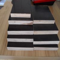 film faced shuttering plywood