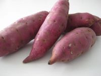 Grade 1 Fresh Yellow And Purple Sweet Potatoes 