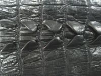 Crocodile Leather Skin