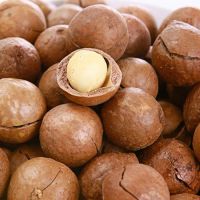 Top Quality Macadamia nuts