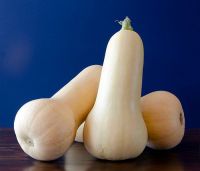 Butternut Squash