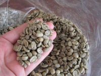 Organic Raw Robusta And Arabical Green Coffee Beans