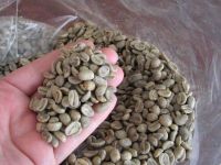 High Quality Arabica And Robusta Green Coffee Bean