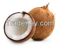 Dried Coconut 