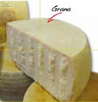 Grana Padano | Italian Cheese Exporters