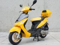 50cc Sunny Gas Moped Scooter