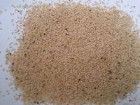 natural whitish sesame seeds