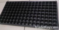 Seedling Tray/Propagation Tray, Horticultural Tool