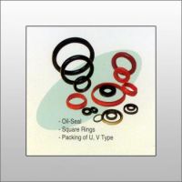 Seal, Oil Seal