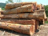 okan and sipo  logs for sale