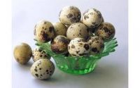 Quail Eggs