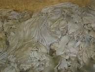 Animals dry skin