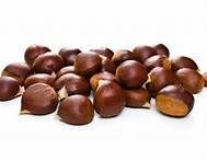 white chestnut