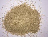 Premium Natural White Sesame Seed ------ Bangladesh Origin